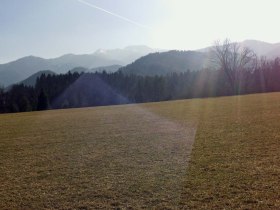 Scheiklh&ouml;he_Rundweg_6_Stengelloser Enzian, &copy; Nordisches Zentrum St. Aegyd