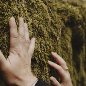 Naturerlebnis Waldviertel, © We Make Stories