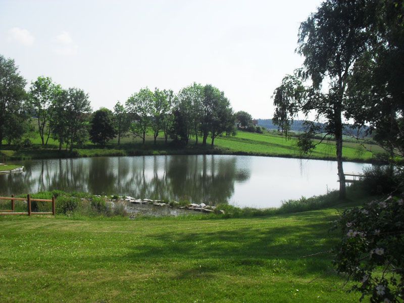 Ortsteich Sallingberg