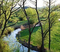 Fluss in gr&uuml;ner Landschaft mit B&auml;umen im Vordergrund.