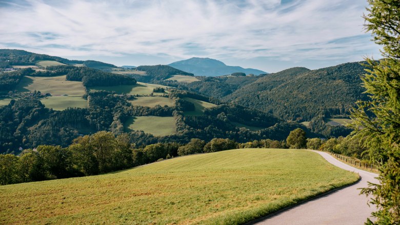 Panoramablick auf eine h&uuml;gelige Landschaft mit gr&uuml;nen Wiesen und bewaldeten H&uuml;geln unter einem blauen Himmel.