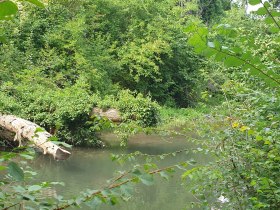 Kleine Au, Fischamend, &copy; Donau Nieder&ouml;sterreich, Daniela Wagner