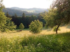 Rappottenstein_Blick_auf_Burg, &copy; waldsoft