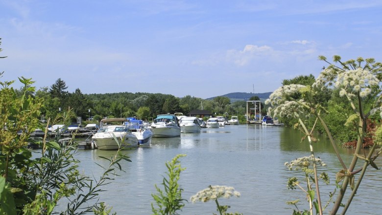 Marina Traismauer, &copy; Kai Nickel