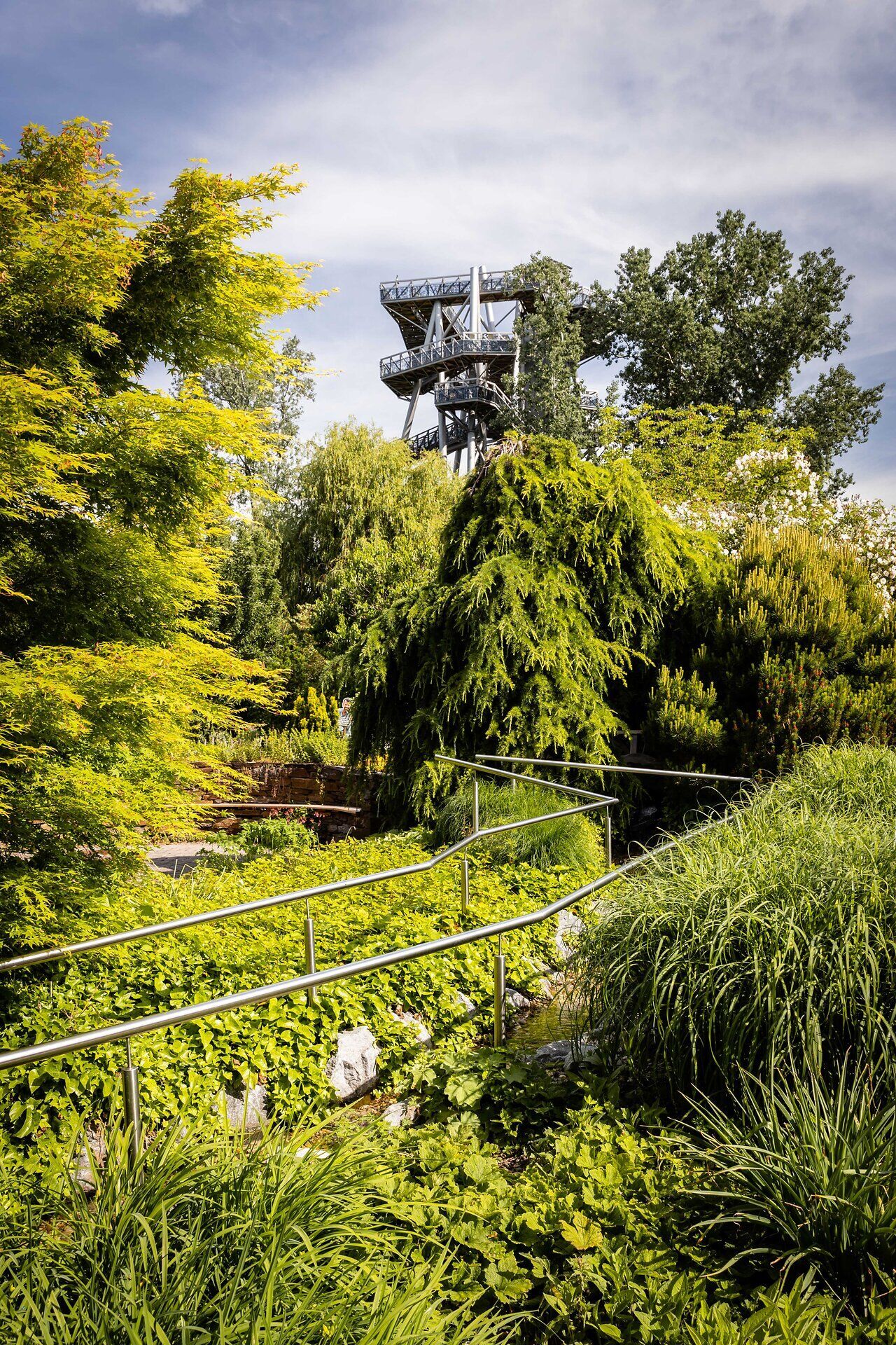 Inmitten üppiger grüner Pflanzen und sanfter Hügel entfaltet sich eine Oase der Ruhe. Der Blick auf die beeindruckende Aussichtsplattform lädt dazu ein, die Schönheit der Natur zu genießen und die frische Luft des Frühlings zu atmen.
