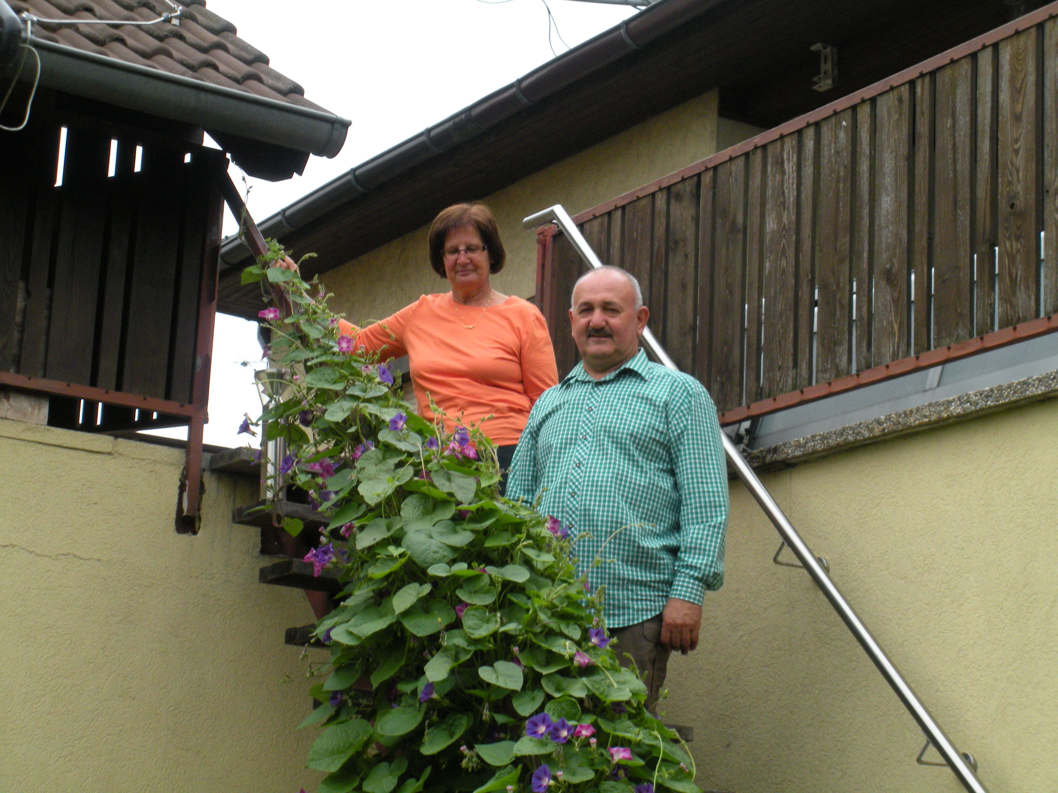 Ein Mann und eine Frau stehen auf einer Treppe neben einer blühenden Pflanze.