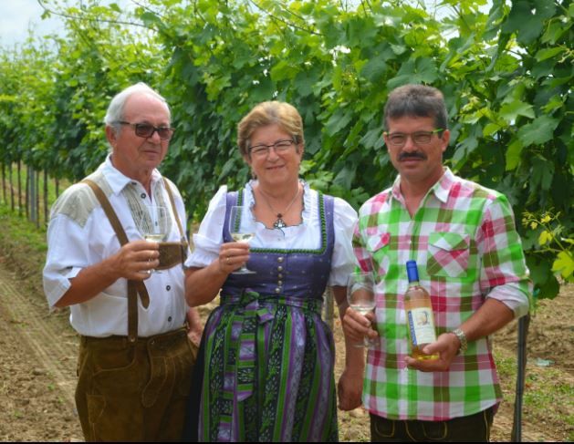 Weinbau Angerhof