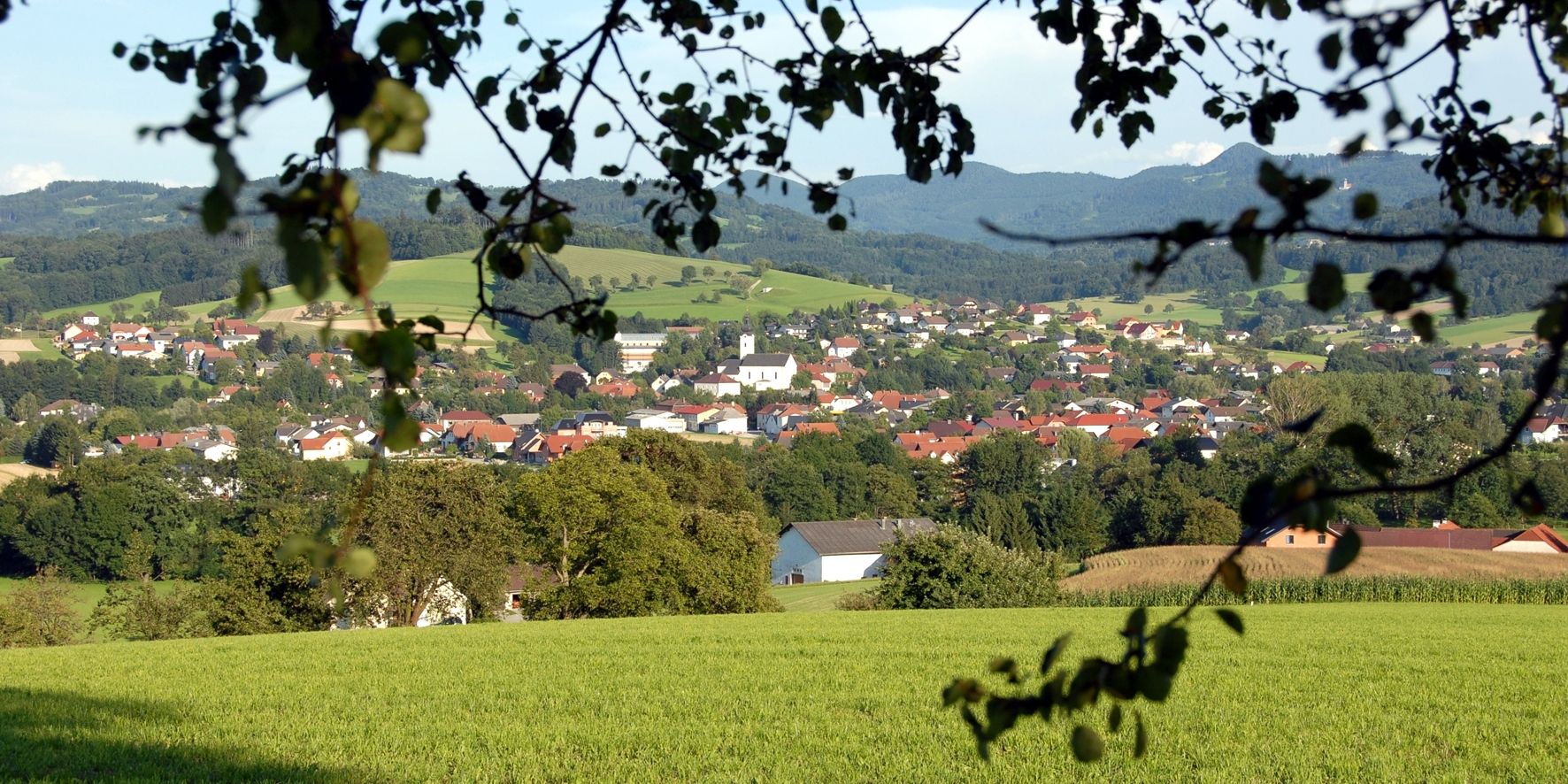 Panorama von Oberndorf an der Melk mit grünen Feldern und Hügeln im Hintergrund.