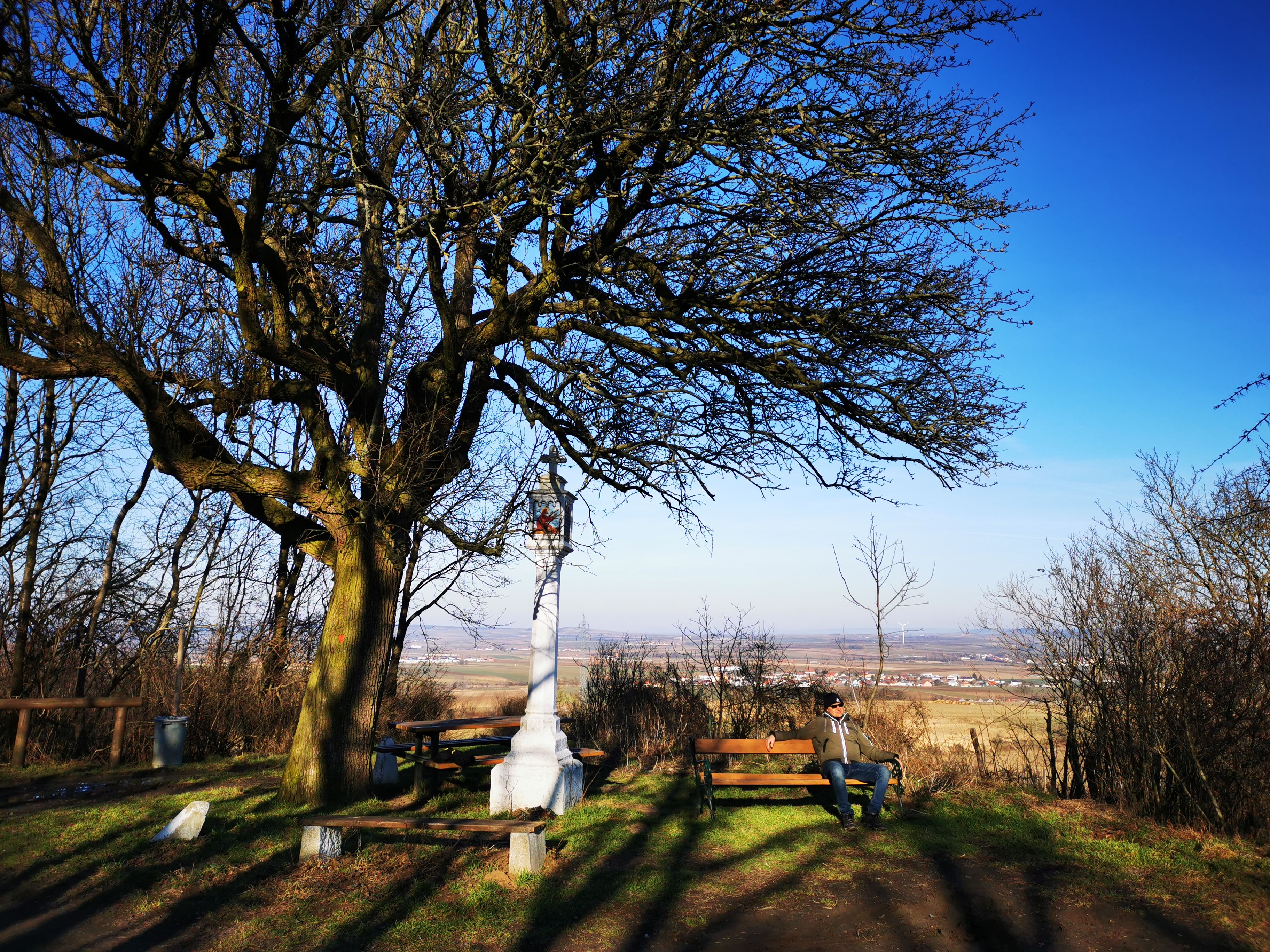 Ein Mann sitzt auf einer Bank unter einem großen Baum mit Blick auf eine weite Landschaft.