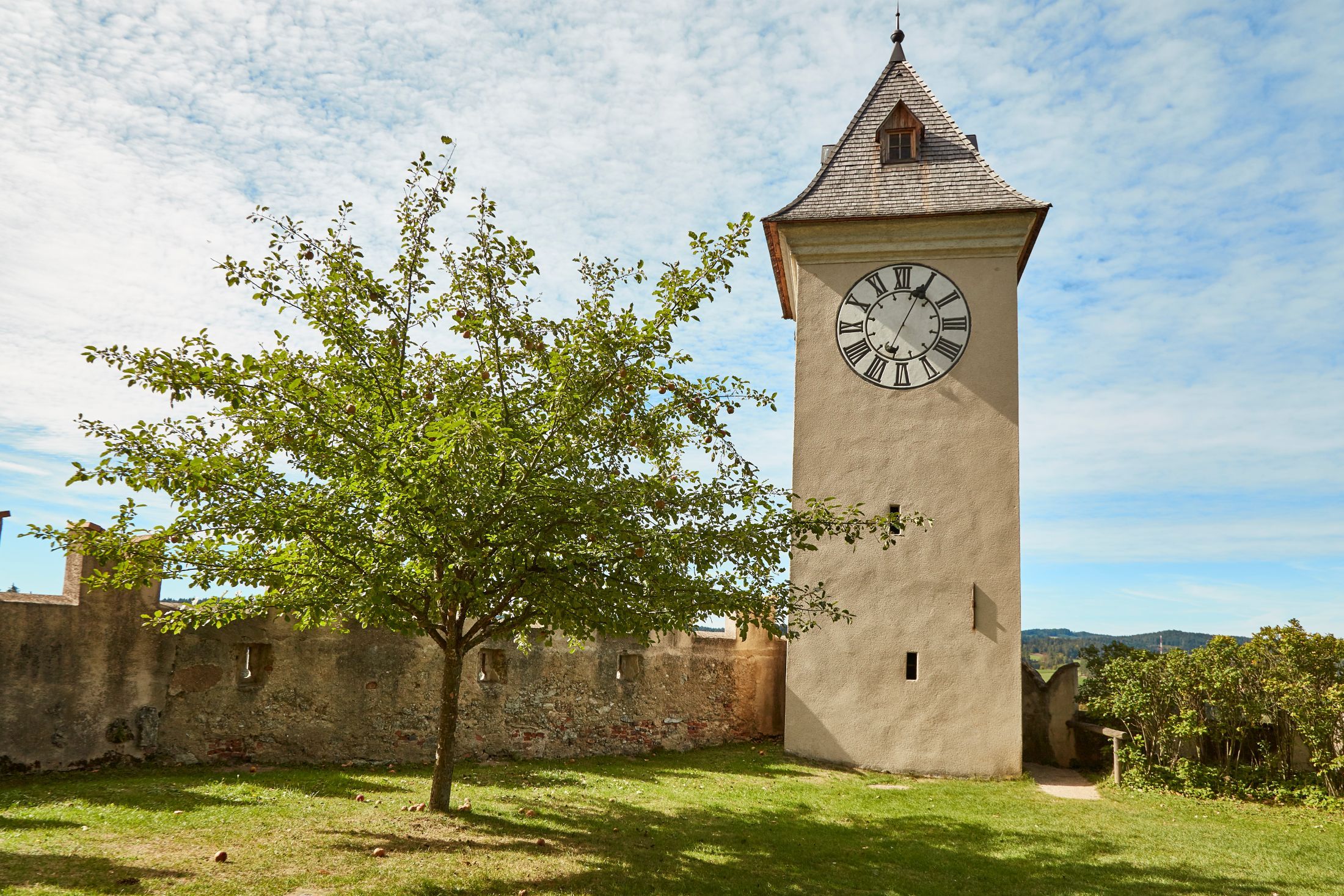 Ein Uhrturm mit römischen Ziffern neben einem Baum auf einer Wiese, umgeben von einer alten Steinmauer.