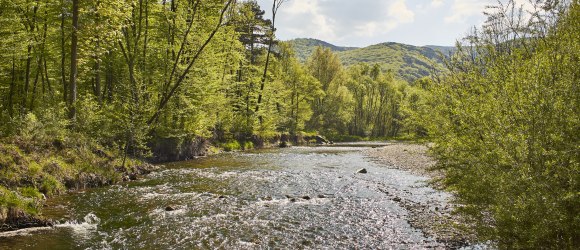 Helenental, Wandern im Wienerwald, &copy; Wienerwald Tourismus/Andreas Hofer