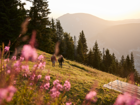 Sanfte Hügel und blühende Wiesen laden zu einem unvergesslichen Wanderausflug ein. Die warmen Sonnenstrahlen tauchen die Landschaft in goldenes Licht und schaffen eine harmonische Atmosphäre. Hier, umgeben von majestätischen Bergen und duftenden Wildblumen, wird der Sommer in den Alpen zum Erlebnis.