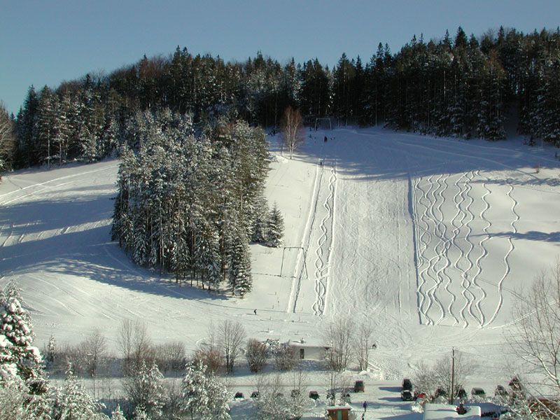 Verschneite Skipiste mit Wald im Hintergrund.