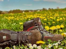 Wandern am Weitwanderweg Nibelungengau, © Donau Niederösterreich / Klaus Engelmayer