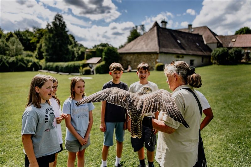 Eine Gruppe von Kindern steht auf einer Wiese und betrachtet einen großen Vogel, den eine Person auf dem Arm hält. Im Hintergrund ist ein Gebäude zu sehen.