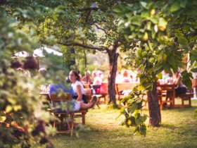 Typischer Heuriger in der Wachau, &copy; Daniela Matejschek