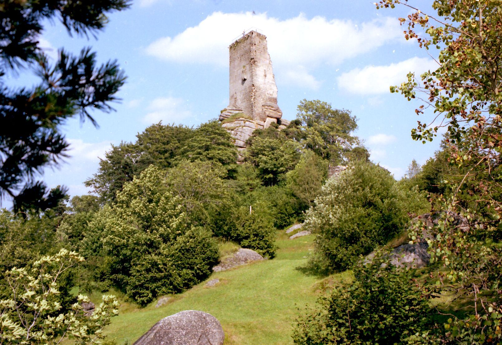 Ruine Arbesbach auf einem bewaldeten Hügel mit blauem Himmel im Hintergrund.