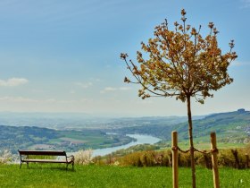 Ausblick von Klostergarten in Maria Taferl auf Donau und Nibelungengau, &copy; Donau Nieder&ouml;sterreich / Klaus Engelmayer
