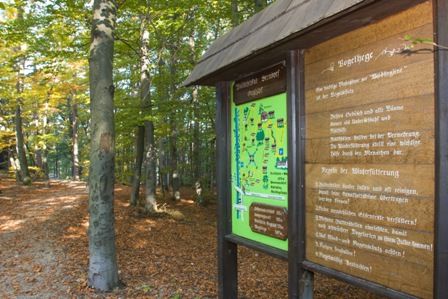 Waldlehrpfad mit Informationstafel im Wald.