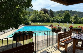 Schwimmbecken mit Wasser und Wiese herum