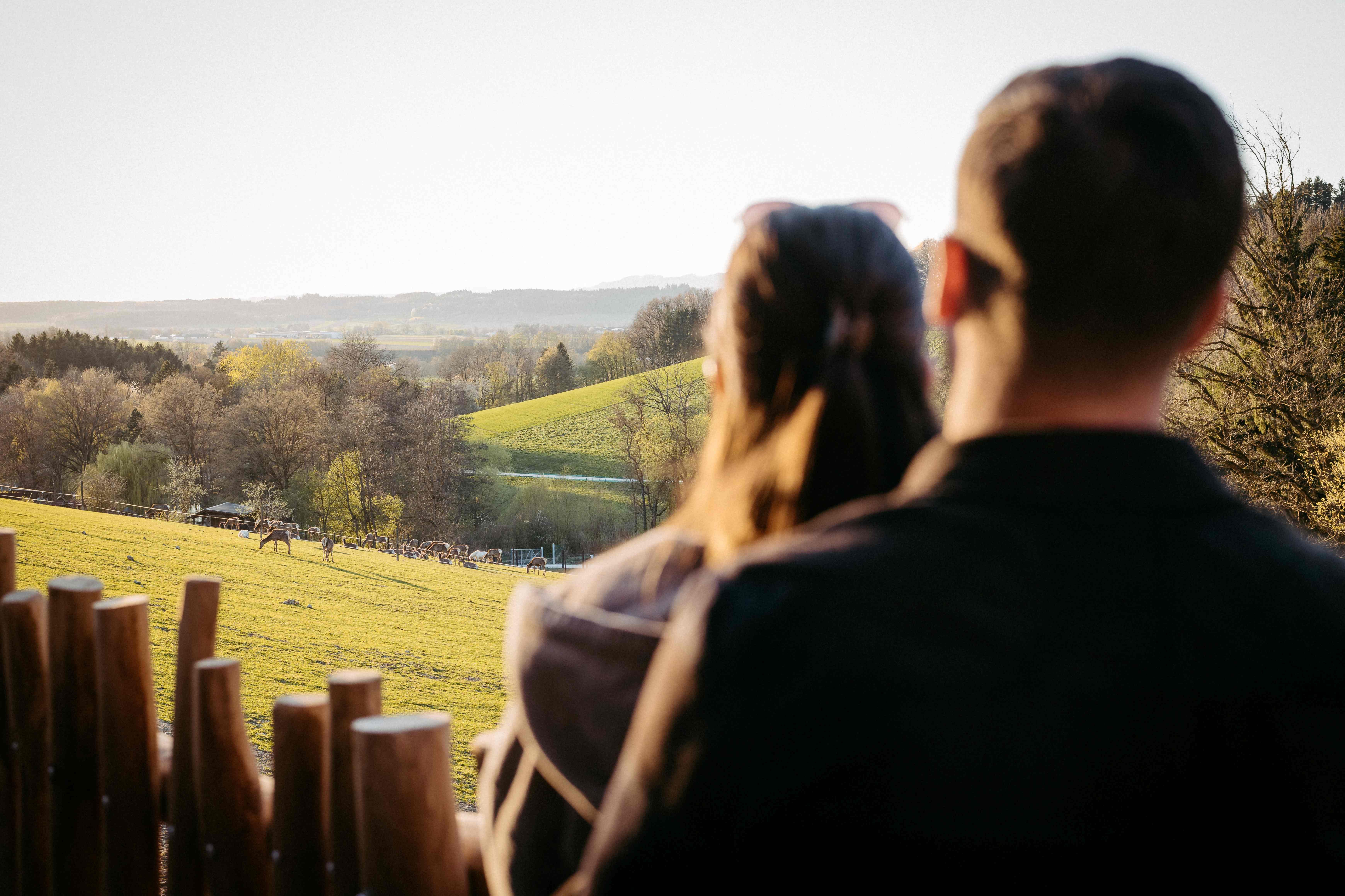 Wildpark Lodges