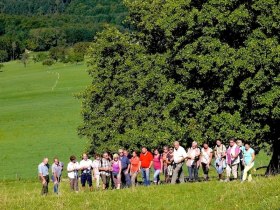 Er&ouml;ffnung, &copy; Norbert Mayer