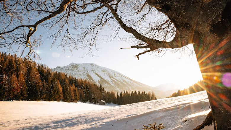 Nestelberg 17, &copy; Sabine Wieser