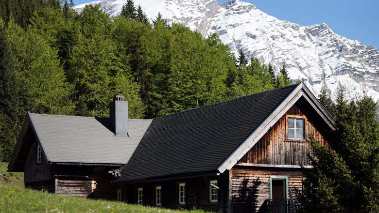 Holzhütte vor schneebedecktem Berg und grünem Wald.