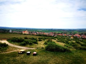 Die Veltlinerhochburg Röschitz beheimatet viele renommierte Winzerfamilien, © Weinstraße Weinviertel West