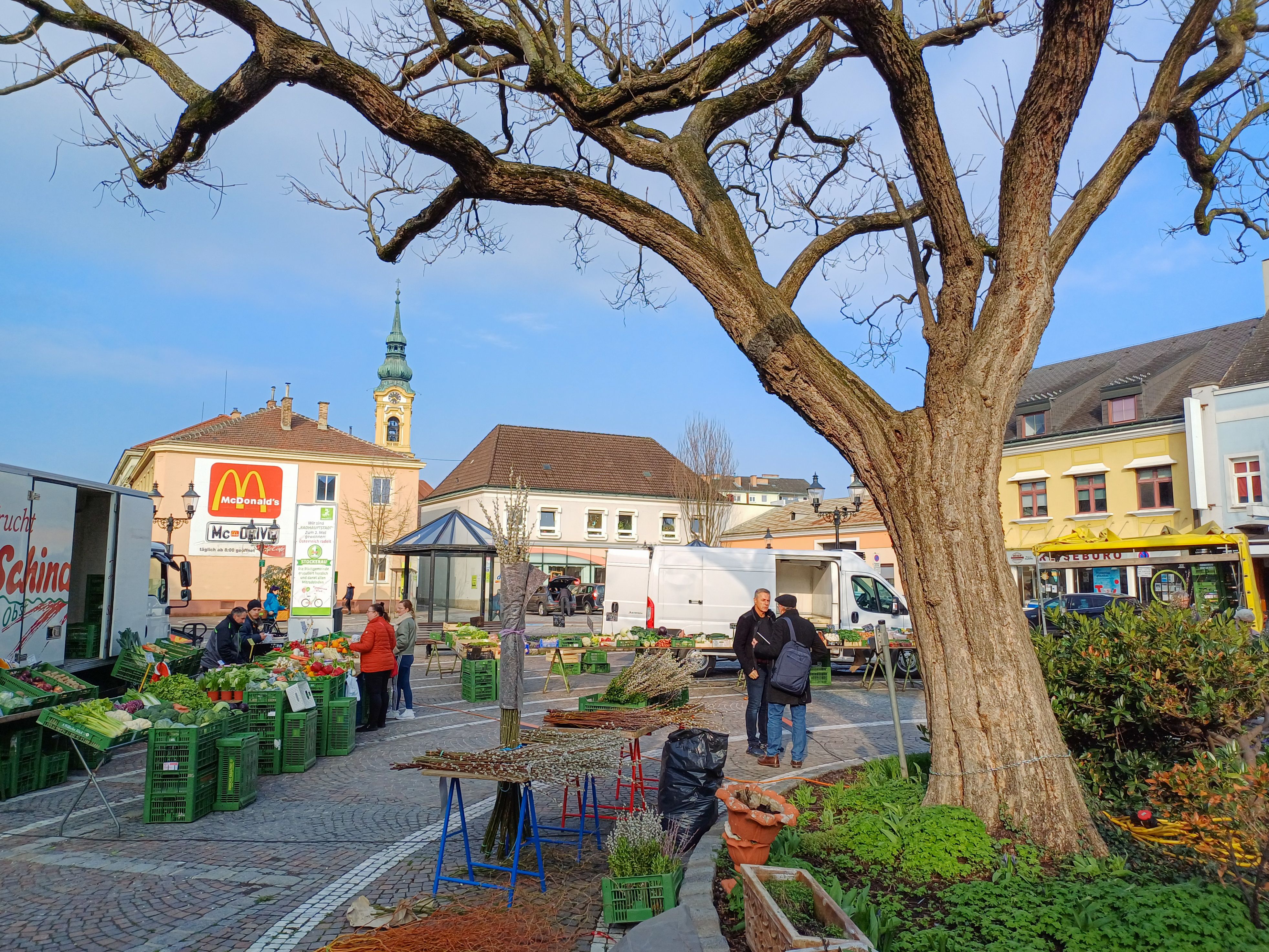 Wochenmarkt in Stockerau mit Ständen, einem großen Baum und Gebäuden im Hintergrund.