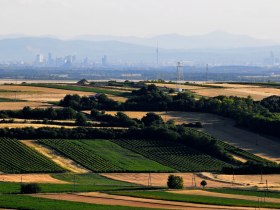Rundblick von Matzen auf die Karpaten, Wien und den Schneeberg, © Weinviertel Tourismus / Mandl