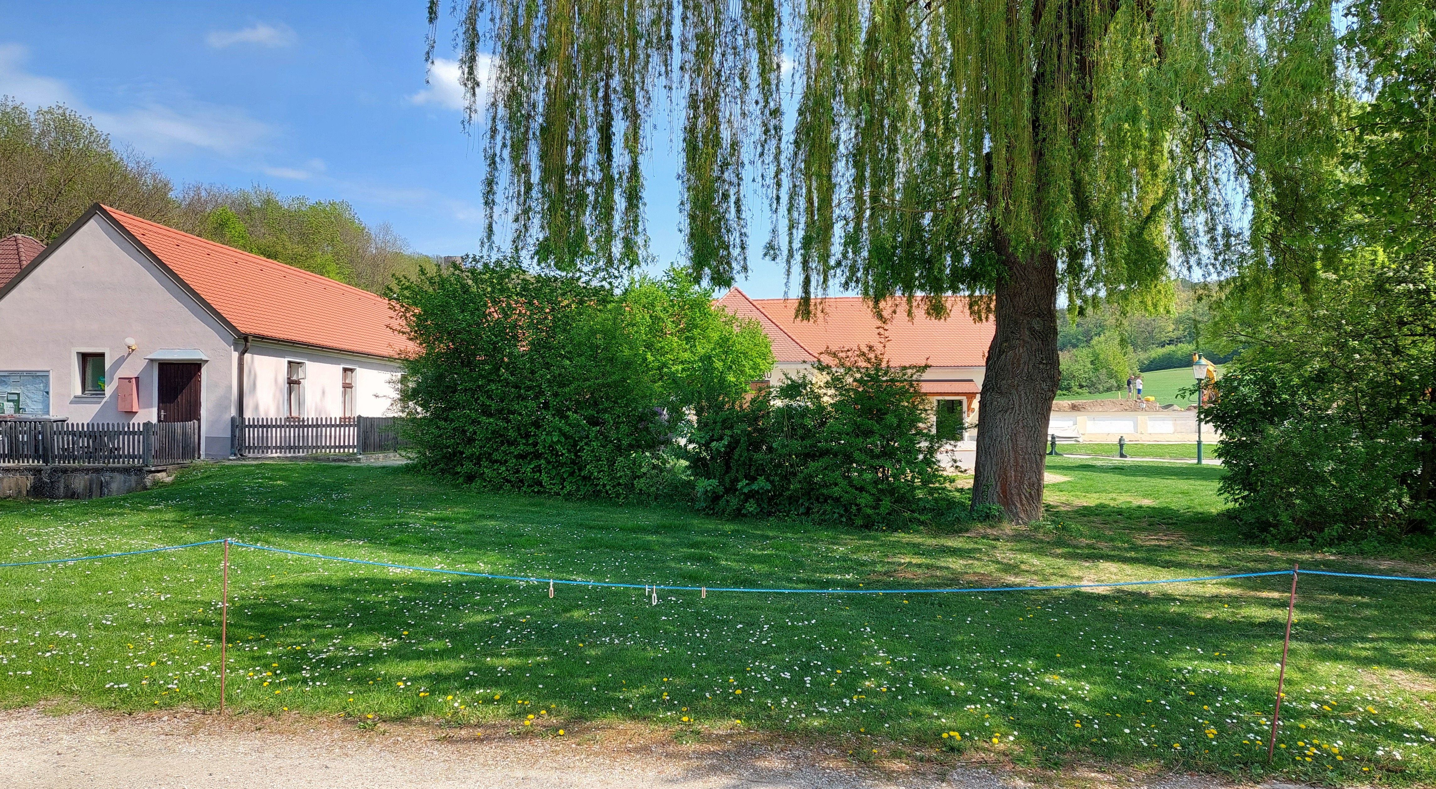 Grüner Zeltplatz mit Bäumen und Gebäuden im Hintergrund.