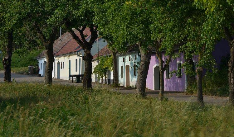 Kellergasse Thal, Ottenthal, Weingut Maringer, &copy; Weinstrasse Wagram, mywagram.at