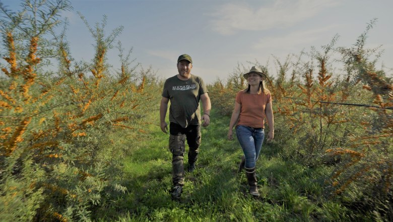 Marchfelder Bio-Sanddorn, &copy; Andel Film