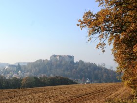 Buchbergsicht auf Burg Neulengbach, © Wienerwald