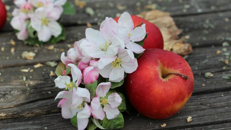 Harm Most- & Fruchtsaft, &copy; Silvia Harm