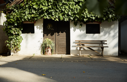 Kellergasse in Hadres mit weißen Häusern und Weinreben.