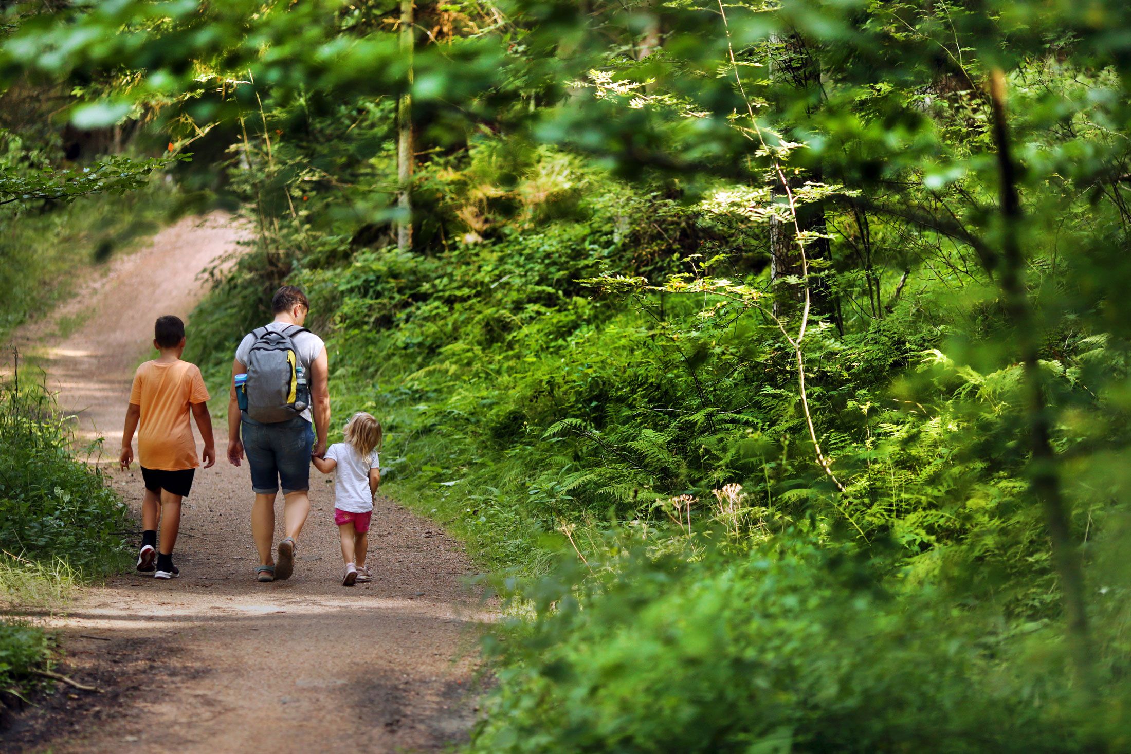 Eine Familie spaziert auf einem Waldweg, umgeben von üppigem Grün.