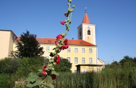 Pfarrkirche St. Andrä mit rotem Blumentrieb im Vordergrund.