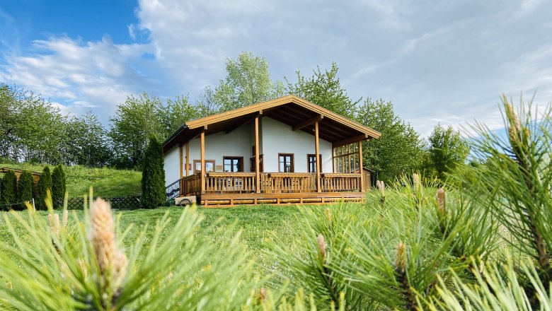 Ein kleines Holzhaus mit Veranda steht auf einer gr&uuml;nen Wiese, umgeben von B&auml;umen und Str&auml;uchern unter einem bew&ouml;lkten Himmel.