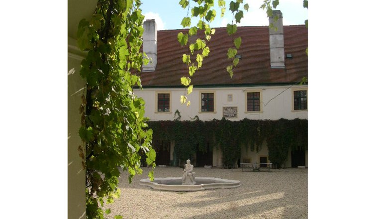 Innenhof von Schloss Loosdorf mit Brunnen und Efeu an den W&auml;nden.