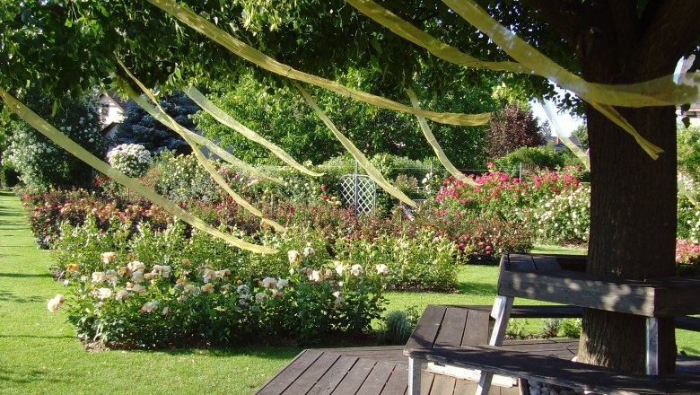 Ein Garten mit bl&uuml;henden Rosen, B&auml;nken unter einem Baum und gelben B&auml;ndern in den &Auml;sten.
