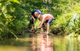 Zwei Personen beugen sich &uuml;ber einen Bach in einem gr&uuml;nen Wald.