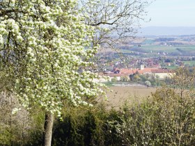 Trefflingblickweg, &copy; Marktgemeinde Seitenstetten