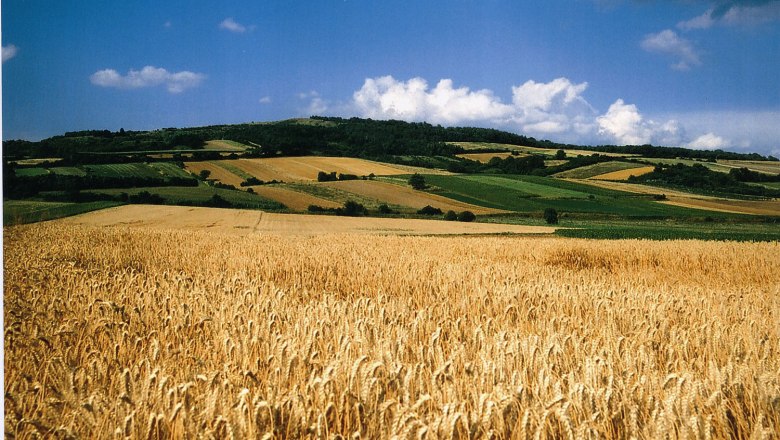 Weizenfeld vor einer h&uuml;geligen Landschaft mit blauem Himmel und Wolken.