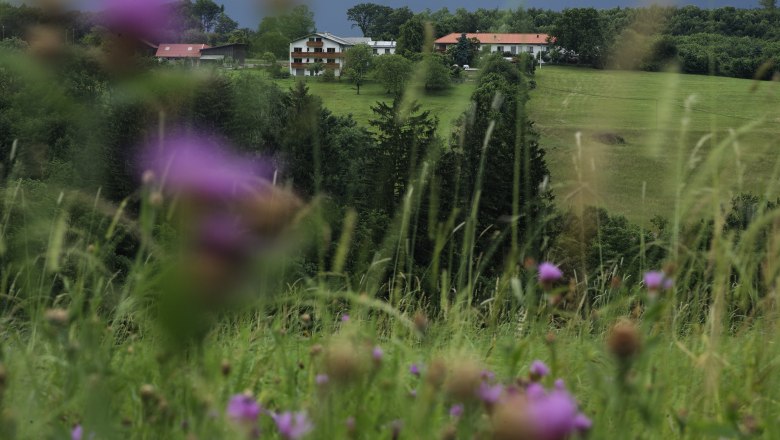 Garten, &copy; Erika Berger