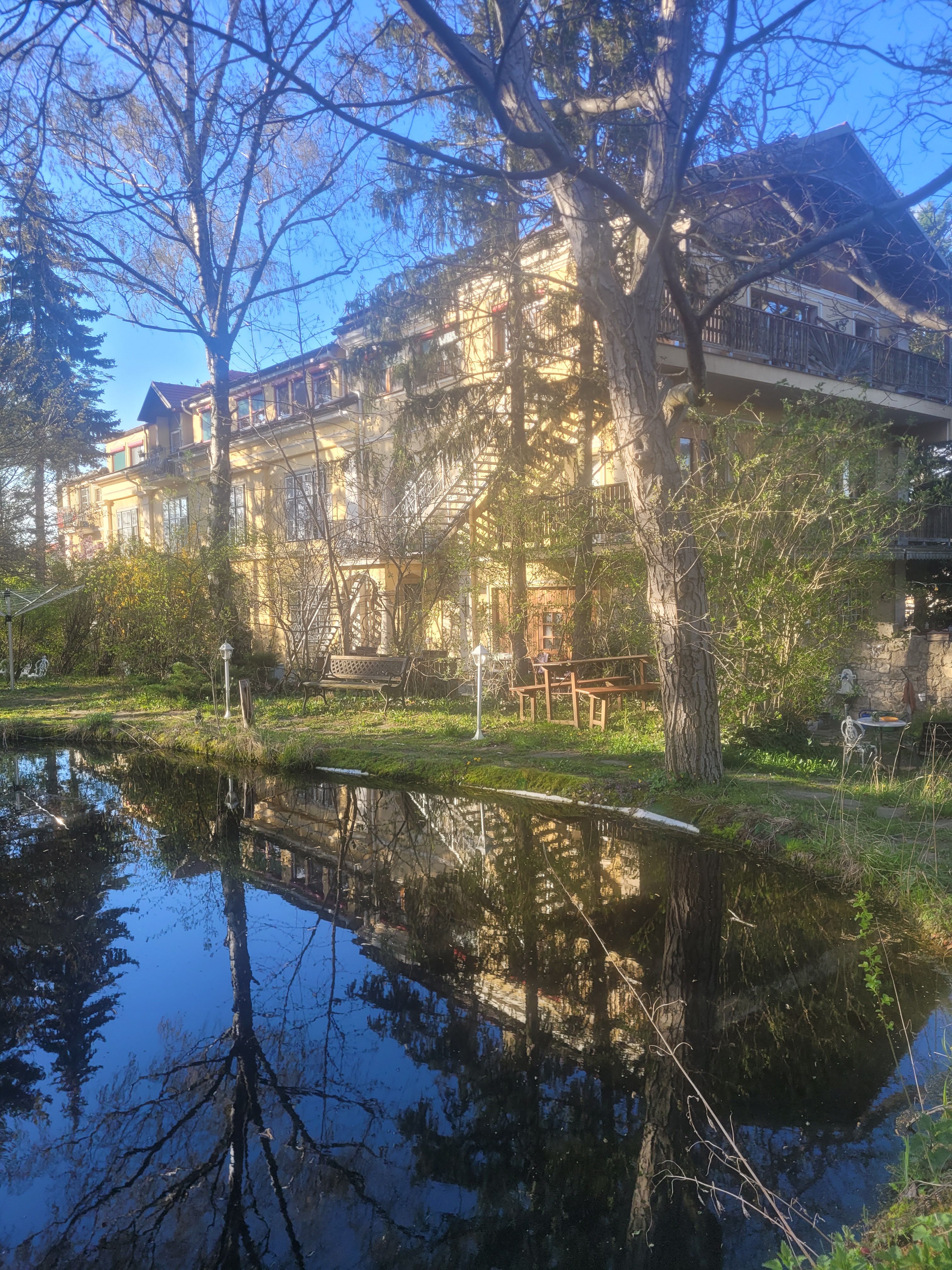 Pannonica, Wolfsthal, Gartenteich im Frühling