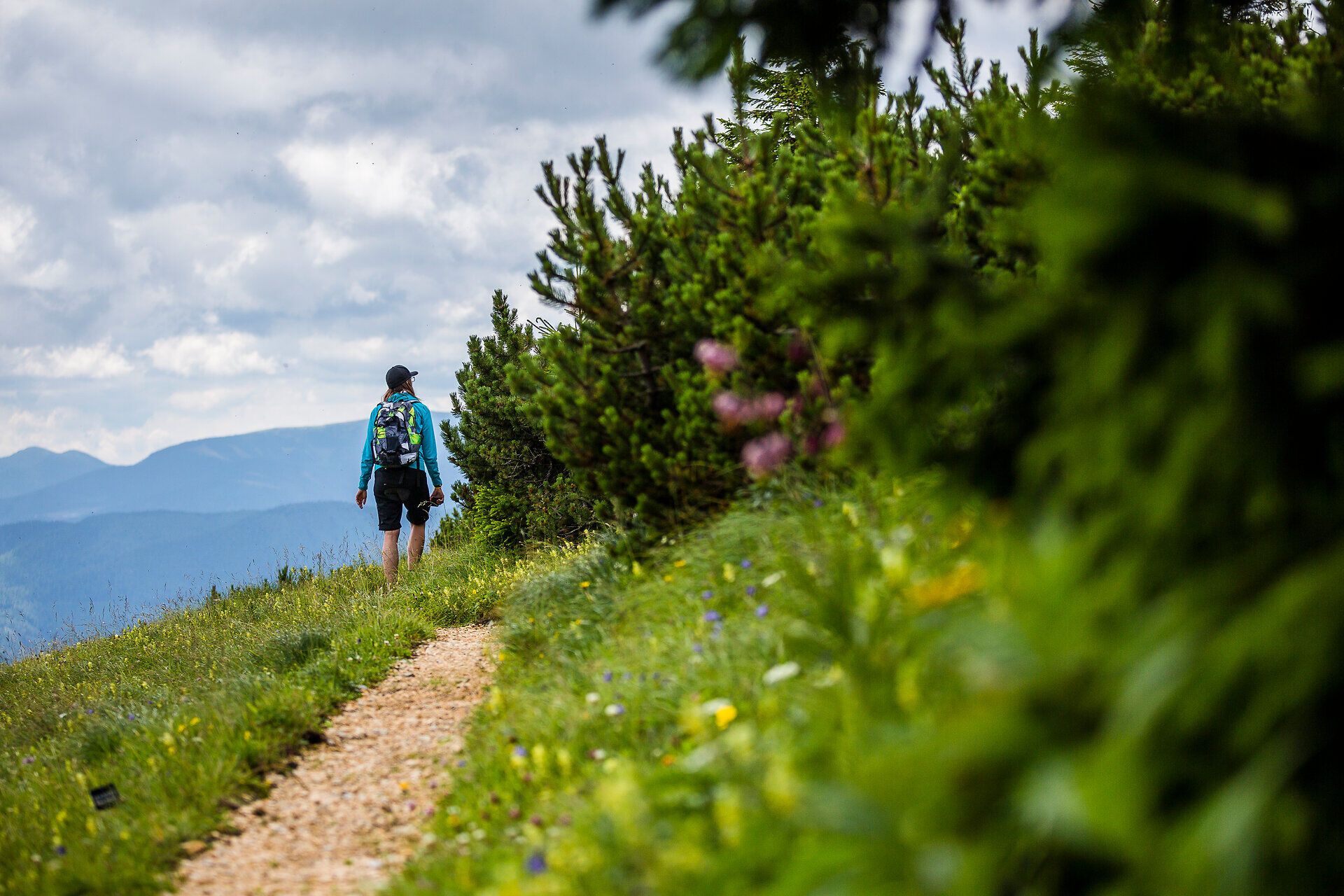 Ein Wanderer genießt die frische Bergluft und die atemberaubende Aussicht auf die umliegenden Hügel und Wiesen. Die bunten Wildblumen und das sanfte Rauschen der Bäume schaffen eine harmonische Atmosphäre, die zum Verweilen einlädt.