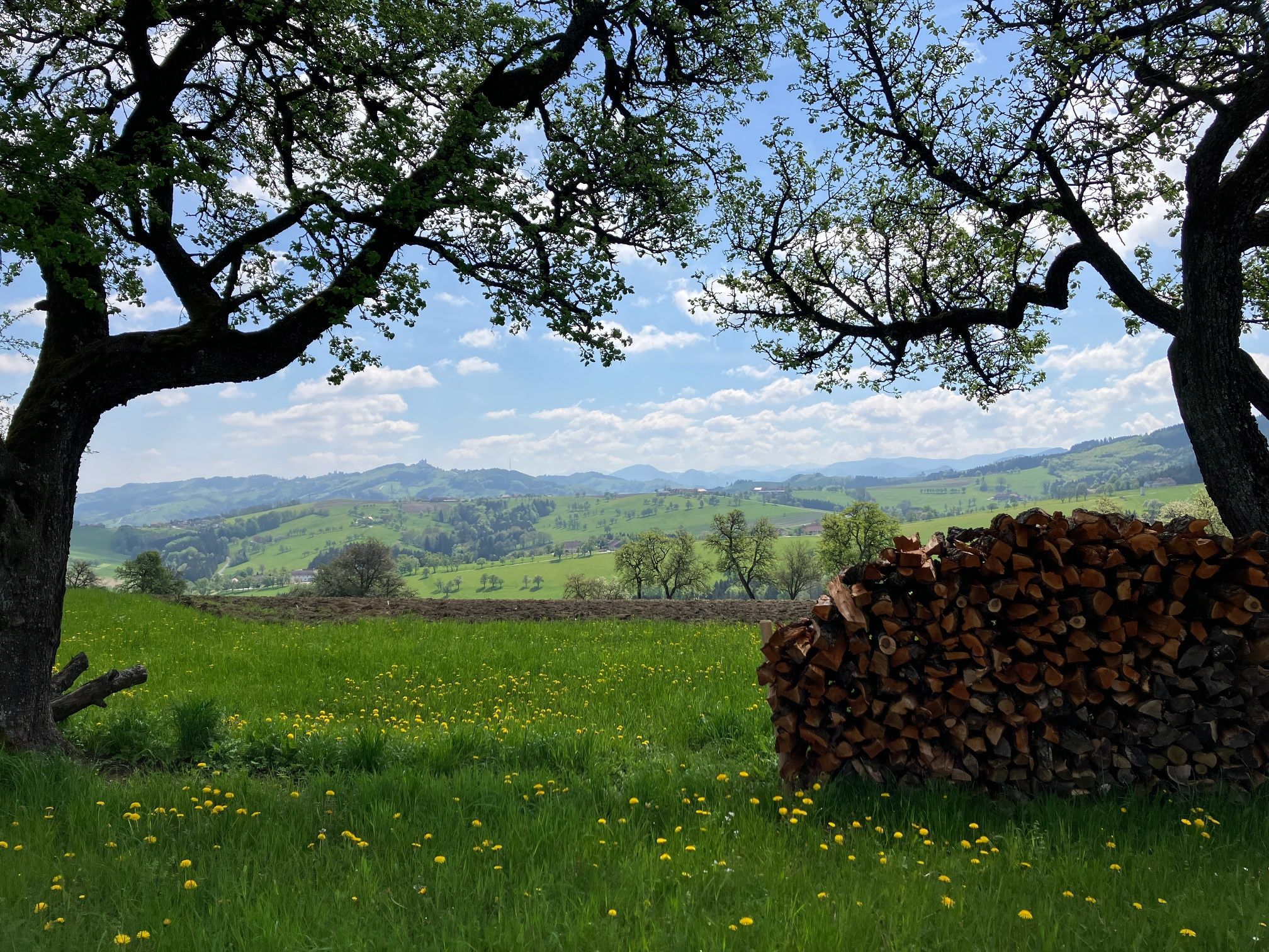 Blick auf die Landschaft vom Fröschlauweg