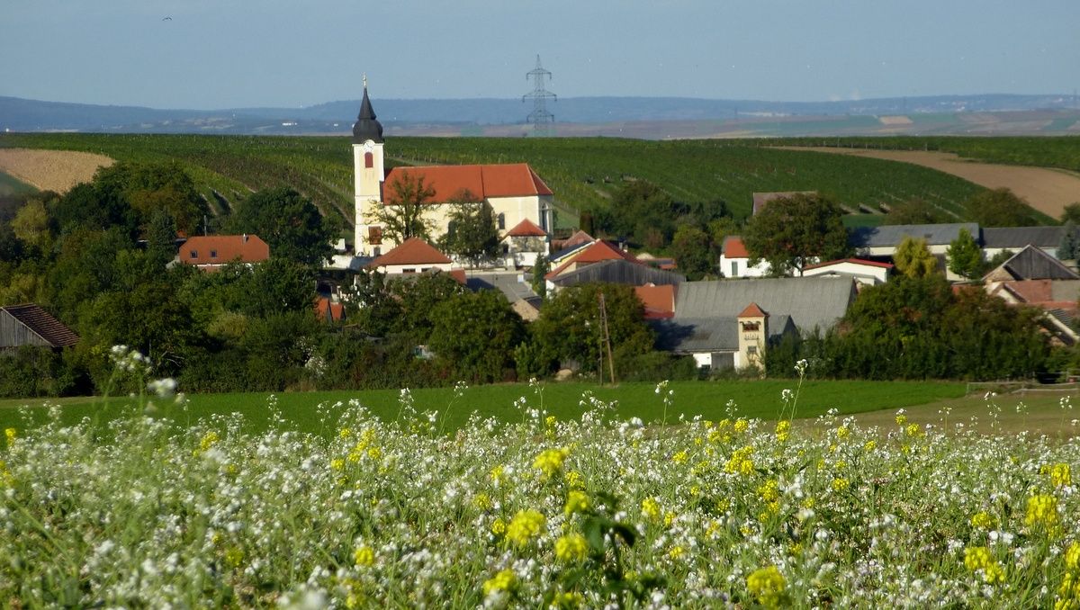 Blick auf ein Dorf mit Kirche und roten Dächern, umgeben von grünen Feldern und Hügeln.